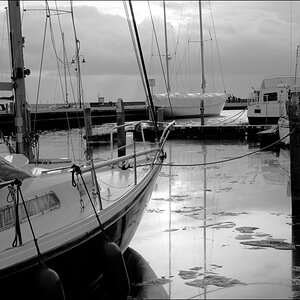 DSC01188bw