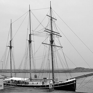 comp DSC 2151 081
