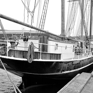 comp DSC 2158 082