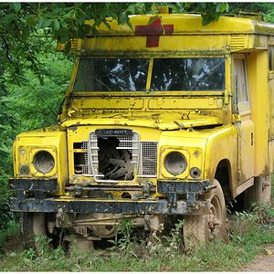 comp alb landy