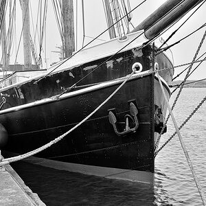 comp DSC 2163 085