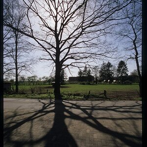 gegenlicht