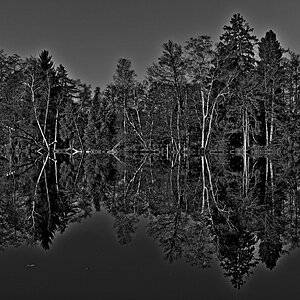 20111121 095803 sw