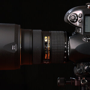 F6 mit 24-70/2.8
