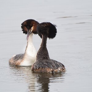 20120317 3630 [NIKON 1 V1] 380 mm,1 250 Sek. bei ƒ   4,5