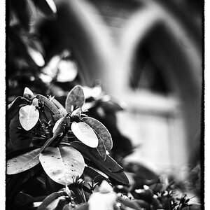 test 50 mm 1 6