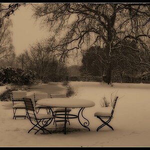 Wintertraum