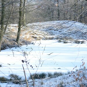 Tiergarten Hildesheim