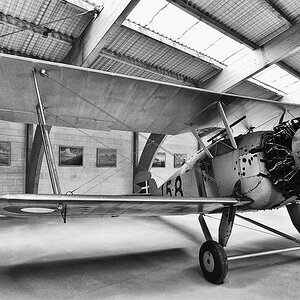 comp DSC 2355 096 SW