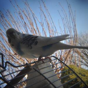 2012 02 27 16 06.geaendert