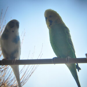 2012 02 27 16 07.geaendert