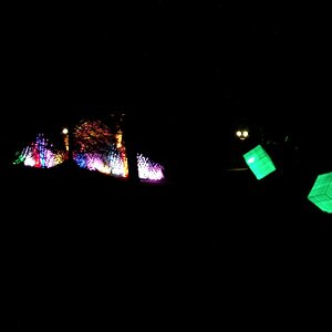 Gruga lichter 29.02.2012 042