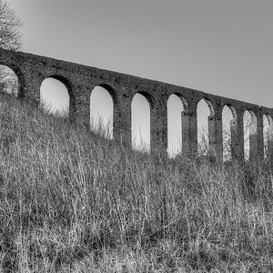 c DSC 1512 176