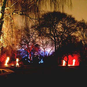 Gruga lichter 29.02.2012 121