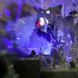 DSC9366 web