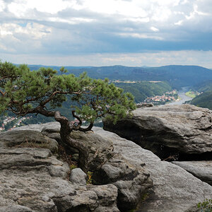 Auf dem Lilienstein
