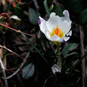 2010 03 17 15 08 14 D30 3221