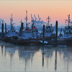acomp docklands 20120205 0173