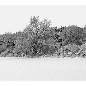 Winter 1 1