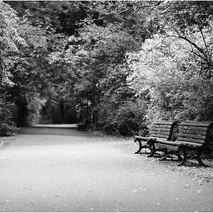 Parkweg