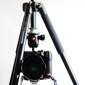 LNK D3804