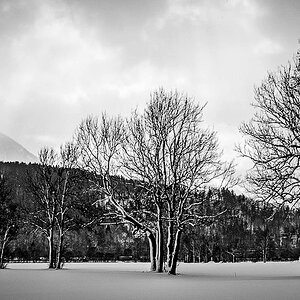 20120216 124545 sw