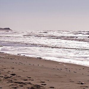 comp DSC 2881