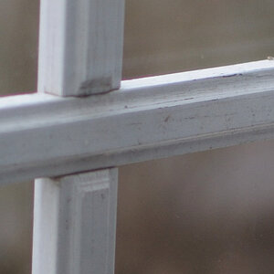 DSC 0851 crop