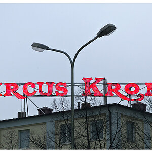 Muenchen 02 03 2012 8
