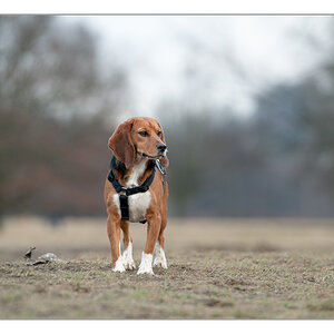 in die Weite