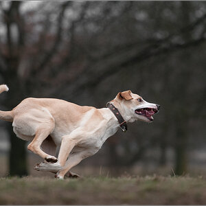 running