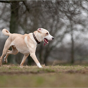 running2