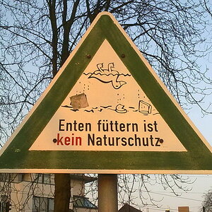 21032012558 b Bildgröße ändern