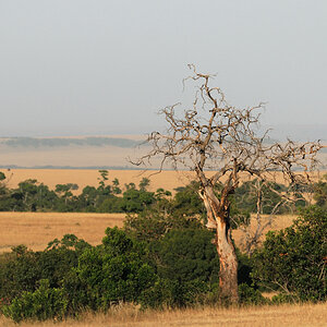Landschaft