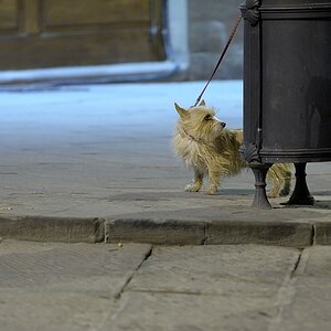 2012 03 15 192832 web