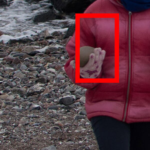 DSC 0962 crop