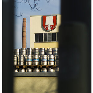 Muenchen 02 03 2012 6