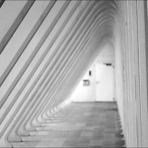 Guillemins