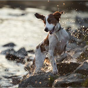 V ausm wasser
