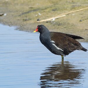 20120323 4580 [NIKON 1 V1] 500 mm,1 400 Sek. bei ƒ   6,3