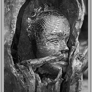 Baummann