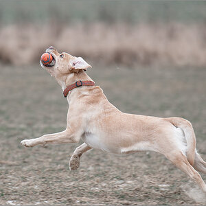 Sina am Ball 3