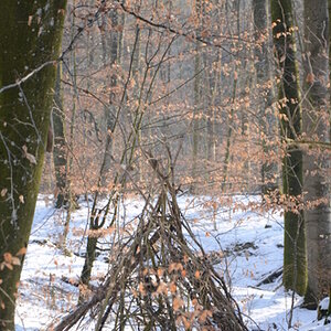 Im Wald gefunden!