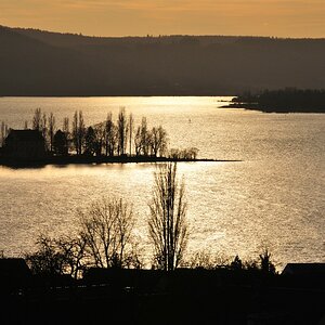 comp DSC 2941