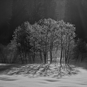 20110205 100150 sw
