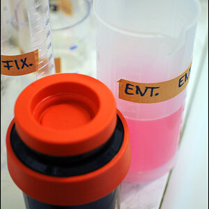 pink!