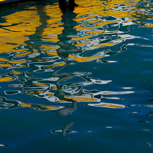 nff venice 5
