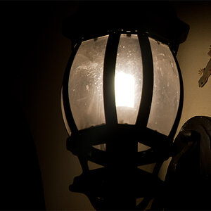 Ho Chi Minh Stadt
Saigon
Hotel
Majestic
Gecko
Nacht
Besuch