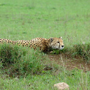 Tansania 2011 707