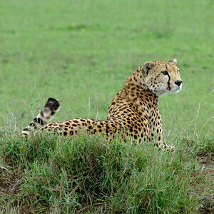 Tansania 2011 710